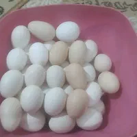 تخم مرغ|خوردنی و آشامیدنی|شباب, |دیوار