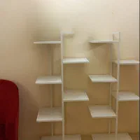 استند گل|گل و گیاه طبیعی|تهران, خاک سفید|دیوار