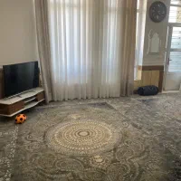فرش ۱۲ متری نو
