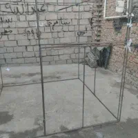 تور کبوتر یا مورگ