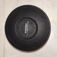 بلندگو کاملا سالم،  معمولی ، پایونیر