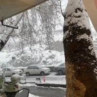مغازه-در-دربند