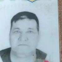 گواهینامه ماشین پیداشده