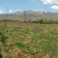 زمین-گوار