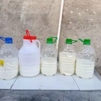 تخم مرغ محلی|خوردنی و آشامیدنی|مرودشت, فاز دوم شهرک فرهنگیان|دیوار