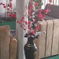 گلدان بزرگ همراه با گل ۶۰۰تومن تخفیف داره|گل و گیاه طبیعی|شیراز, کوی زهرا|دیوار
