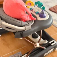 روروک کریر آغوشی نو|اسباب و اثاث بچه|اردبیل, |دیوار