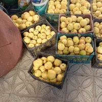 بی تازە درجە یک|عمده‌فروشی|سروآباد, |دیوار