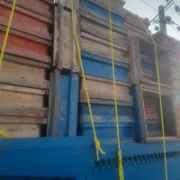 فروش طبق زنبور امریکایی|حیوانات مزرعه|کوراییم, |دیوار