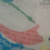 گم شدن کارت سوخت خودرو|اشیا|بندر ماهشهر, |دیوار