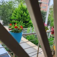 منزل-ویلایی