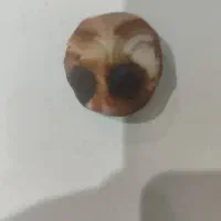 سنگ سلطانی|جواهرات|اهواز, کوی سعدی|دیوار