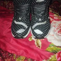 سه جفت کتونی اورجینال آدیداس نیوبالانس اسیکس|کیف، کفش، کمربند|قدس, شهرقدس|دیوار