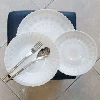 انواع آرکوپال دینو کف گل و طلاکوب شیک