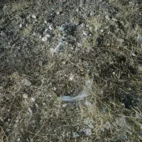 زمین شهرک اندیشه کارگران