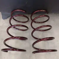 فنر بورژون حرفه ایی لنزو ۳۰cm
