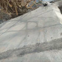 نصب‌و‌لکه‌‌گیری‌ ایزوگام|خدمات پیشه و مهارت|تربت‌حیدریه, حیدرآباد|دیوار