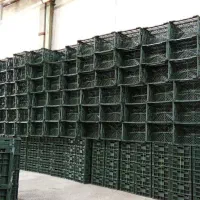 واسه سبد سازی در مازندران فوری فوری