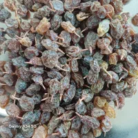 برگه زردآلو و کشمش آفتابی و سایه خشک