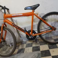 دو چرخه 24|دوچرخه، اسکیت، اسکوتر|نهاوند, |دیوار