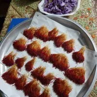 زعفران سرگل مستیم از کشاورز