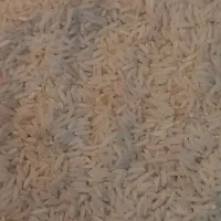 برنج گیلان تولید خودمان
