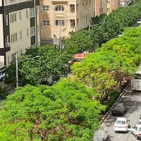 جهت-مطب-160متر-2نبش-حاشیه-خیابان-اصلی