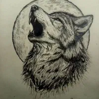 طراحی حرفه ای سفارشی و آماده