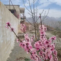 باغ ۸۰۰ متری محدوده نوجان|فروش خانه و ویلا|آسارا, |دیوار