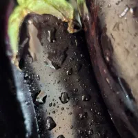 بادمجون سرخ شده|خوردنی و آشامیدنی|تهران, وحیدیه|دیوار