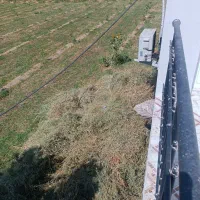 یونجه درهم با علف
