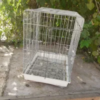 قفس عروسی هلندی