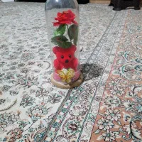 سمپاشی ساختمان سرویس کلر ابی