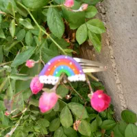 گیرموی رنگین کمان