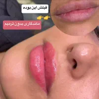 مرکزتخصصی میکروفیبروز بنمژه شیدوتینت لب بدون بیحسی|خدمات آرایشگری و زیبایی|مشهد, فلسطین|دیوار