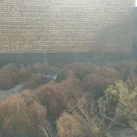 زمین|کلکسیون اشیاء عتیقه|مرودشت, کوشک|دیوار