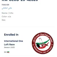 عراقی پرینت دار