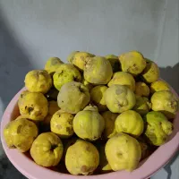 به محلی با کیفیت عالی، قیمت مناسب