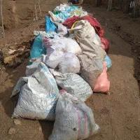 کود گوسفندی