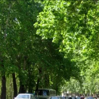 باغچه 410 متر سندتک برگ در بافت مسکونی فول امکانات|فروش زمین و ملک کلنگی|شهریار, بکه|دیوار