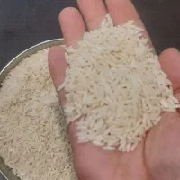 برنج هاشمی درجه یک