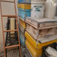 فروش کندوی زنبور عسل