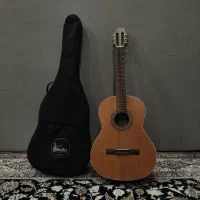 گیتار پارسی m5+کیس