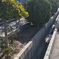 دوخواب-شیک-یغما