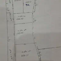 زمین تجاری مسکونی ماسال بر آسفالت در خانه