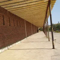 اطلاعیه اجاره بارانداز  حداکثر100تن انگور