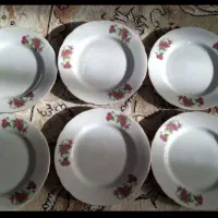 ظروف غذا خوری