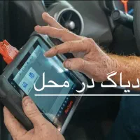 دیاگ وعیب یابی در محل