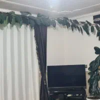 گل گوه فیل|گل و گیاه طبیعی|بانه, |دیوار