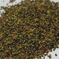 بذر شبدر 1/2/3چین